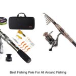Ultimate Guide: Best Pole for All Around Fishing