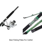 Uncover the Best Fishing Poles for Giant Catfish