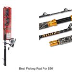 Unveil the Top Secret Best Fishing Rod for $50