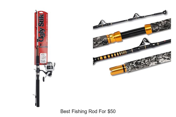 Unveil the Top Secret Best Fishing Rod for $50