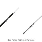 The Ultimate Best Fishing Rod for All Purposes