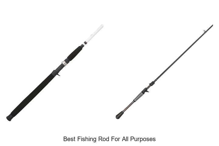 The Ultimate Best Fishing Rod for All Purposes