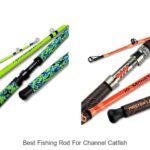 Ultimate Fishing Rod for Channel Catfish Unveiled!