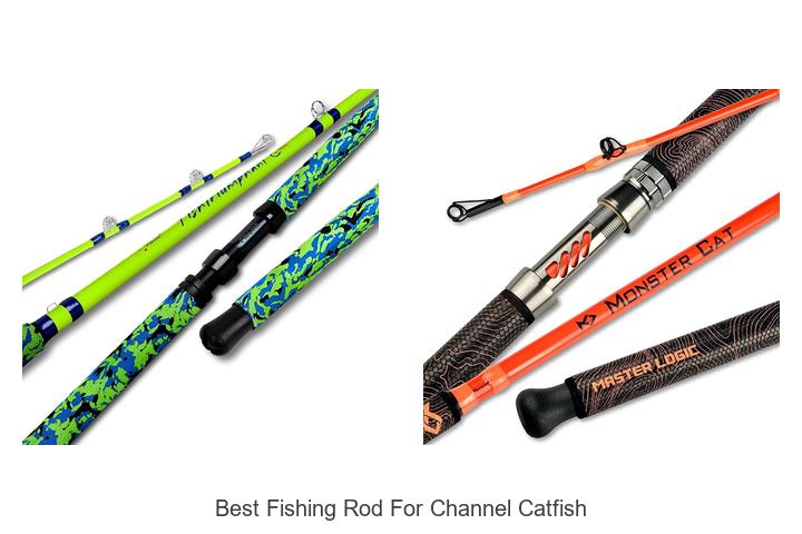 Ultimate Fishing Rod for Channel Catfish Unveiled!