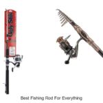 The Best Fishing Rod for Everything: Unbelievable Choice!