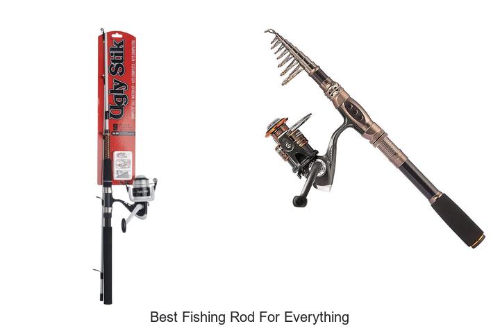 The Best Fishing Rod for Everything: Unbelievable Choice!