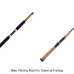 Ultimate Guide to the Best Fishing Rod for All Types
