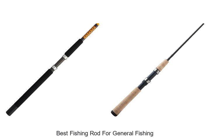 Ultimate Guide to the Best Fishing Rod for All Types