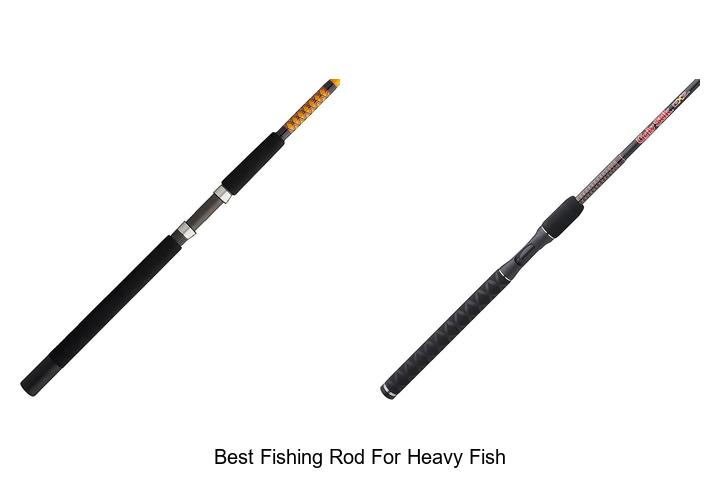 Discover the Best Fishing Rod for Heavy Fish Now!