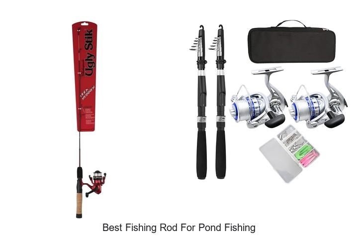 Ultimate Guide to Best Pond Fishing Rod!