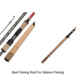 Ultimate Guide: Best Fishing Rod for Salmon Fishing