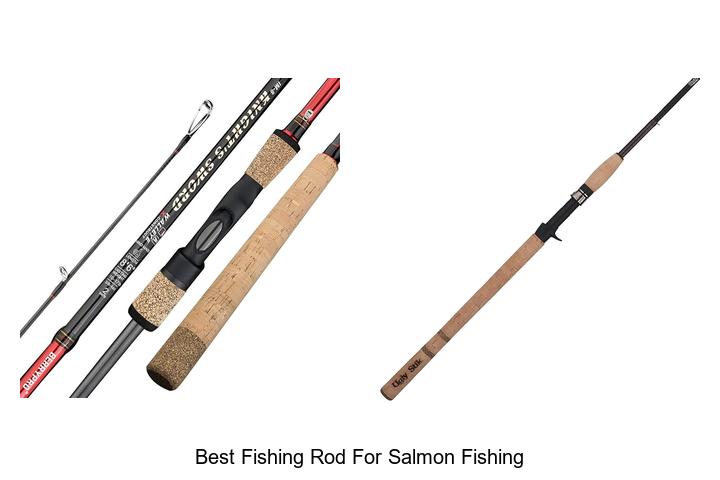 Ultimate Guide: Best Fishing Rod for Salmon Fishing