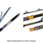 Ultimate Guide: Best Fishing Rod for Shore Fishing!