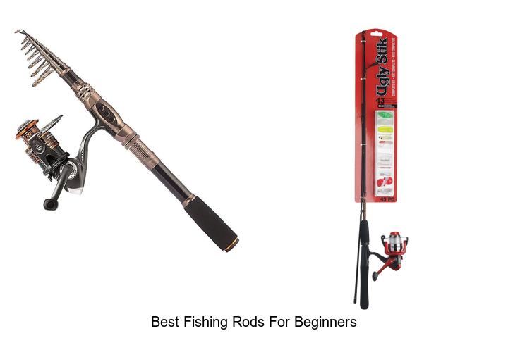 Discover the Best Fishing Rods for Beginners Today!