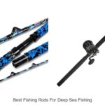Ultimate Best Fishing Rods for Deep Sea Fishing