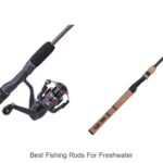 Discover the Best Fishing Rods for Freshwater Now!