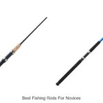 Discover the Best Fishing Rods for Novices!