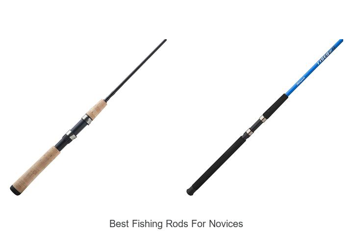 Discover the Best Fishing Rods for Novices!