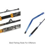 Discover the Best Offshore Fishing Rods Now!