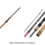 Discover the Best Fishing Rods for Salmon Now!