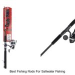 Uncover the Best Fishing Rods for Saltwater Fishing