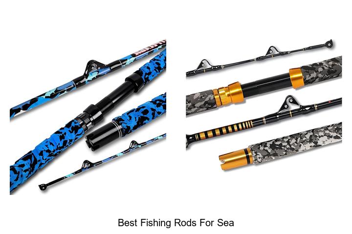 Top 10 Best Fishing Rods for Sea Adventures!