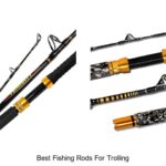 Ultimate Guide to Best Fishing Rods for Trolling