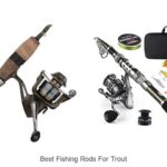 Discover the Best Fishing Rods for Trout Today!