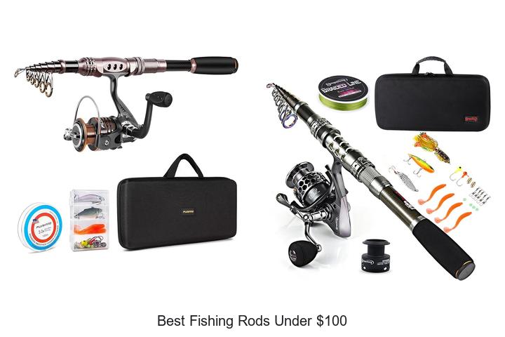 Top 5 Best Fishing Rods Under $100 That Wow!