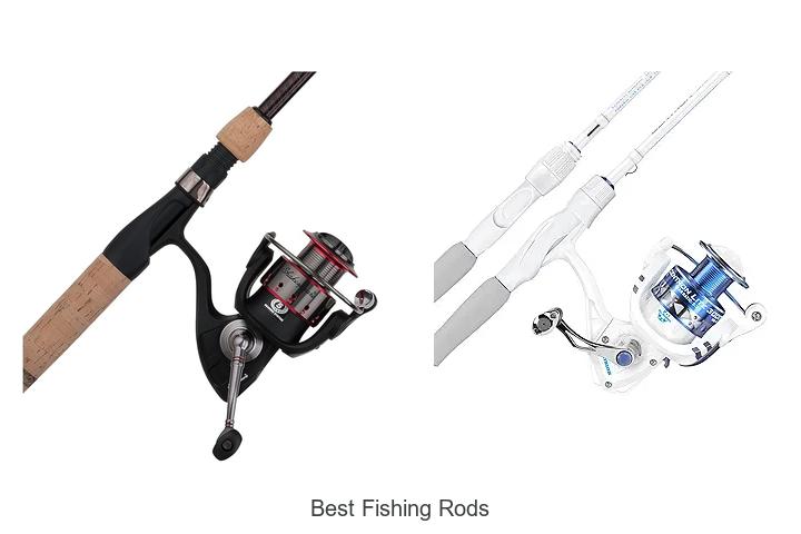 Uncover the Secret to the Best Fishing Rods!