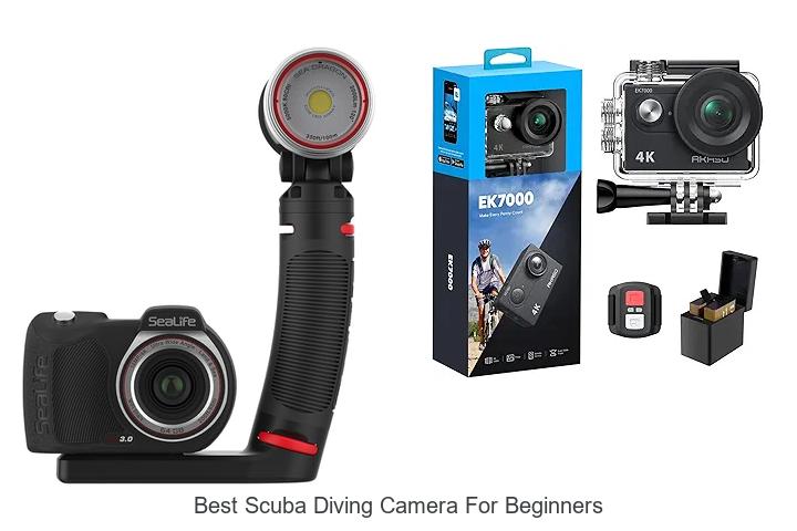 Top Scuba Diving Cameras for Beginners Revealed