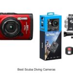 Ultimate Guide to the Best Scuba Diving Cameras