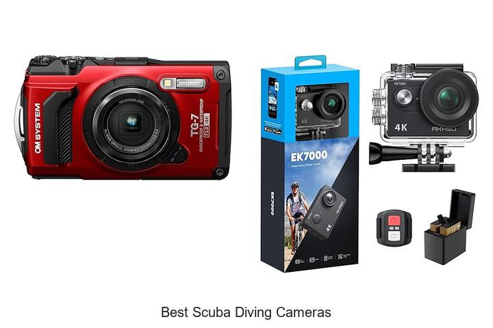 Ultimate Guide to the Best Scuba Diving Cameras