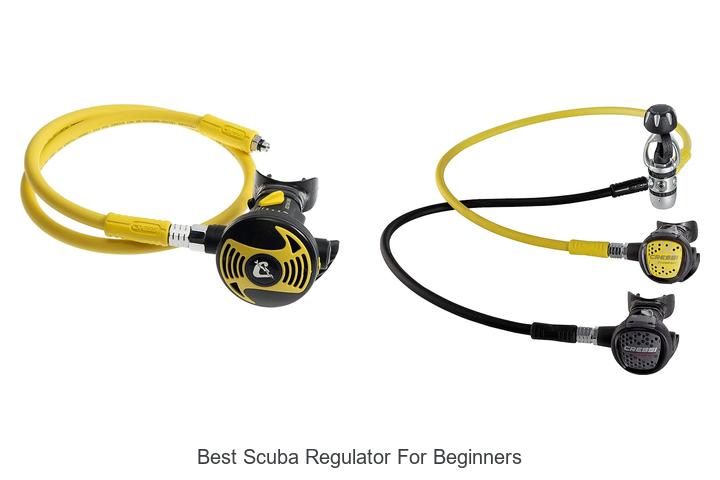 Top Scuba Regulators for Beginners You Must See!