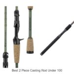 Top 15 Best 2 Piece Casting Rod Under 100 You Can’t Miss