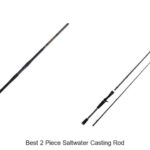 Top 15 Best 2 Piece Saltwater Casting Rods You Must Own!