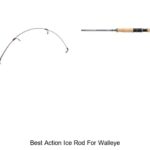 Top 15 Best Action Ice Rod for Walleye That Crush Limits