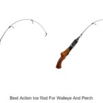 Top 15 Best Action Ice Rod for Walleye and Perch You Need!