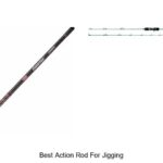 Top 15 Best Action Rod For Jigging You Can’t Miss