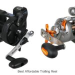 Top 15 Best Affordable Trolling Reel That Will Blow Minds