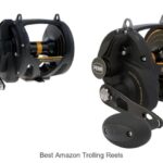 Top 15 Best Amazon Trolling Reels That Will Blow Your Mind