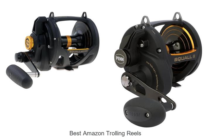 Top 15 Best Amazon Trolling Reels That Will Blow Your Mind