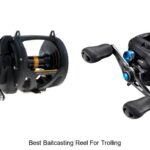 Top 15 Best Baitcasting Reel For Trolling You Can’t Miss!