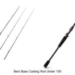 Top 15 Best Bass Casting Rod Under 100 That Will Amaze You