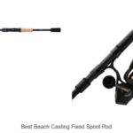 Top 15 Best Beach Casting Fixed Spool Rod You Need Now