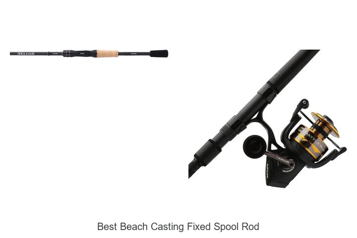 Top 15 Best Beach Casting Fixed Spool Rod You Need Now