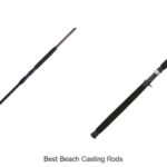 Top 15 Best Beach Casting Rods That Will Blow Your Mind