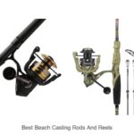 Top 15 Best Beach Casting Rods and Reels You Must Try