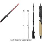 Top 15 Best Beginner Casting Rods That Will Blow Your Mind