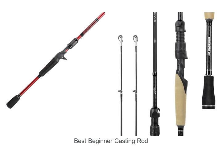 Top 15 Best Beginner Casting Rods That Will Blow Your Mind